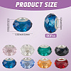 80Pcs 8 Colors Handmade Glass European Beads GLAA-PA0001-03-2
