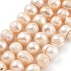 Natural Cultured Freshwater Pearl Beads Strands PEAR-C003-14B-1