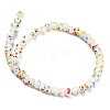 Handmade Lampwork Beads Strands LAMP-H071-01A-03-2