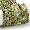 Natural Serpentine Beads Strands G-B107-A05-06-2