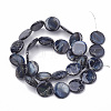 Freshwater Shell Beads Strands X-SHEL-N020-1-02-3