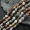 Natural Botswana Agate Nuggets Beads Strands G-L154-03-1