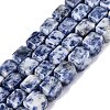 Natural Blue Spot Jasper Beads Strands G-Q608-10G-2