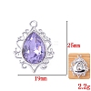 Glass Rhinestone Pendants FIND-WH0021-91S-08-1