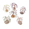 Natural Gemstone Chips and Natural Agate Pedestal Display Decorations DJEW-G027-13RG-1