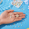 200Pcs 10 Colors Natural Shell Beads Strands BSHE-TA0001-19-6
