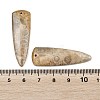 Natural Fossil Coral Pendants G-B187-01C-07-3