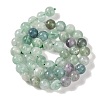 Natural Fluorite Beads Strands X-G-P530-B04-03-4