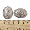 Natural Maifanite Cabochons G-C115-01B-30-3