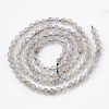 Natural Labradorite Beads Strands G-T107-14-2