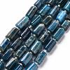 Natural Apatite Beads Strands G-S345-8x11-003-1