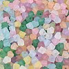 FGB Frosted Transparent Glass Seed Beads SEED-N013-03A-3