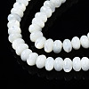 Natural Trochid Shell/Trochus Shell Beads Strands SSHEL-S266-017A-3