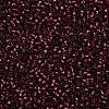 TOHO 8/0 Round Beads SEED-TR08-2226-2