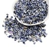 Natural Blue Spot Jasper Beads G-K397-02-1