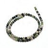 Natural Moss Agate Round Bead Strands G-P072-01-8mm-2