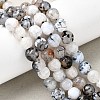 Natural Agate Bead Strands G-AR0001-42-6