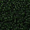 MIYUKI Round Rocailles Beads SEED-JP0009-RR0158F-3