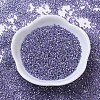 MIYUKI Delica Beads SEED-MY11-DB0250-2