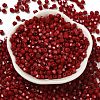 Baking Painted Glass Seed Beads SEED-C004-01E-2