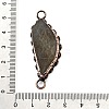 Brass Pave Natural Labradorite Feather Connector Charms G-Q350-03A-3