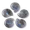 Natural Labradorite Beads G-R464-008B-1