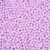 Baking Painted Glass Seed Beads SEED-C004-01K-2