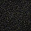 TOHO Round Seed Beads SEED-JPTR11-0083F-2