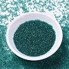 MIYUKI Delica Beads SEED-JP0008-DB1108-2