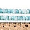 Glass Beads Strands GLAA-N059-5x8mm-43-4