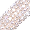 Natural Cultured Freshwater Pearl Beads Strands PEAR-N014-03D-1