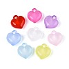 Transparent Acrylic Pendants TACR-T028-80M-1