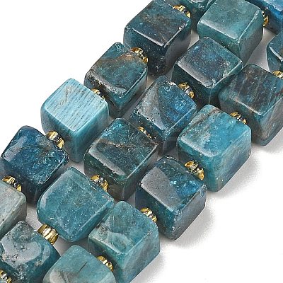 Natural Apatite Beads Strands G-G053-B18-04-1