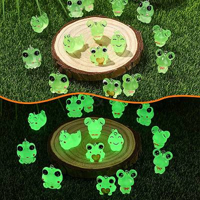24Pcs 6 Styles Luminous Frog Resin Pendants RESI-YW0006-19-1