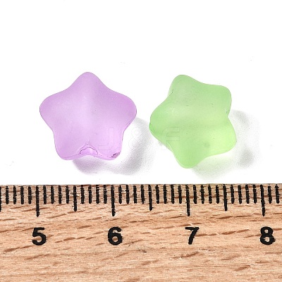 Frosted Transparent Acrylic Beads FACR-C001-01B-1