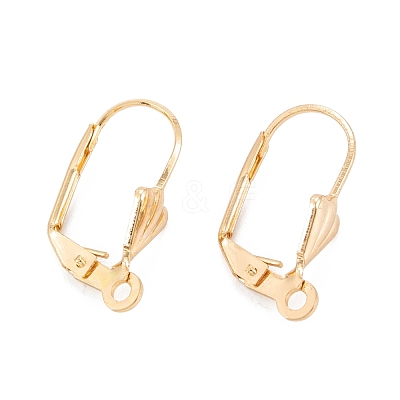 304 Stainless Steel Leverback Earring Findings STAS-K218-08G-1