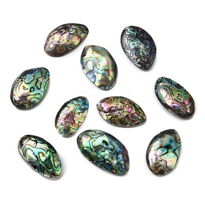 Natural Paua Shell Cabochons SSHEL-S280-01B-1