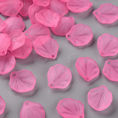 Transparent Frosted Acrylic Pendants MACR-S371-02A-704-1