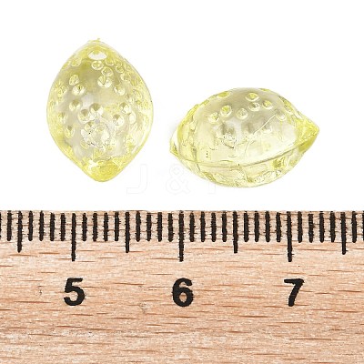 Transparent Acrylic Pendants OACR-G065-01A-1
