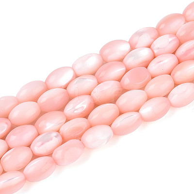Natural Trochus Shell Beads Strands SHEL-K006-19-01F-1
