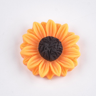 Resin Cabochons X-CRES-T010-59B-1