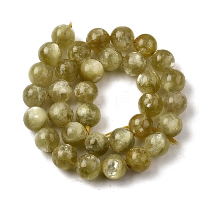 Natural Lepidolite Beads Strands G-F799-B02-12mm-1