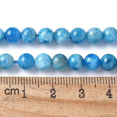 Natural Apatite Beads Strands G-I254-08H-1
