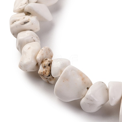 Magnesite Chip Bead Strands G-M205-75-1