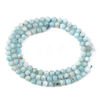 Natural Larimar Beads Strands G-K376-A03-4mm-1