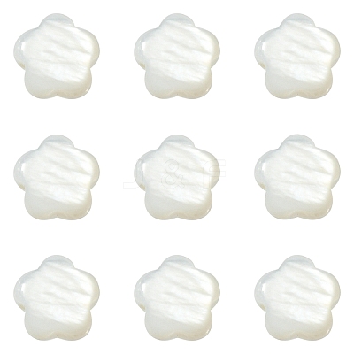 30Pcs Natural Freshwater Shell Beads SHEL-CJ0001-29-1