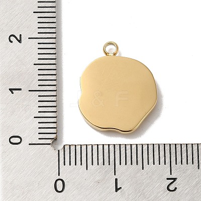 304 Stainless Steel Pendants STAS-B074-08G-02-1