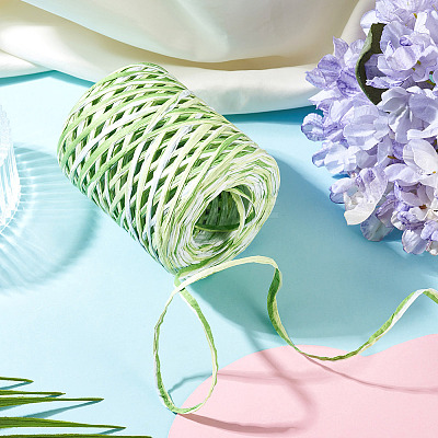 Raffia Twine Yarn OCOR-TAC0025-009D-1