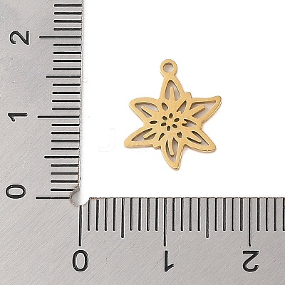 304 Stainless Steel Pendants STAS-S139-06G-01-1