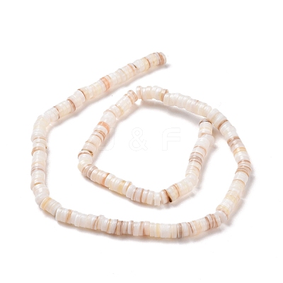 Freshwater Shell Beads Strands SHEL-G011-09-A02-1